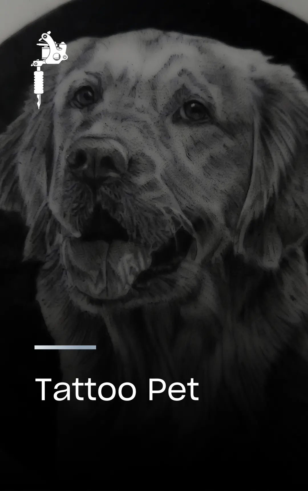 novo-TATTOO-PET.webp